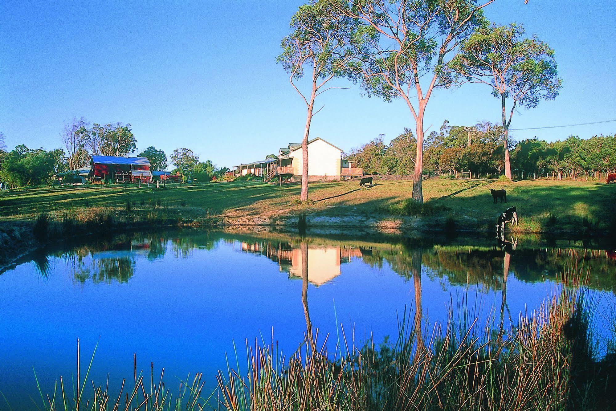 Villa Platypus Park Country Retreat Bridport Exterior foto