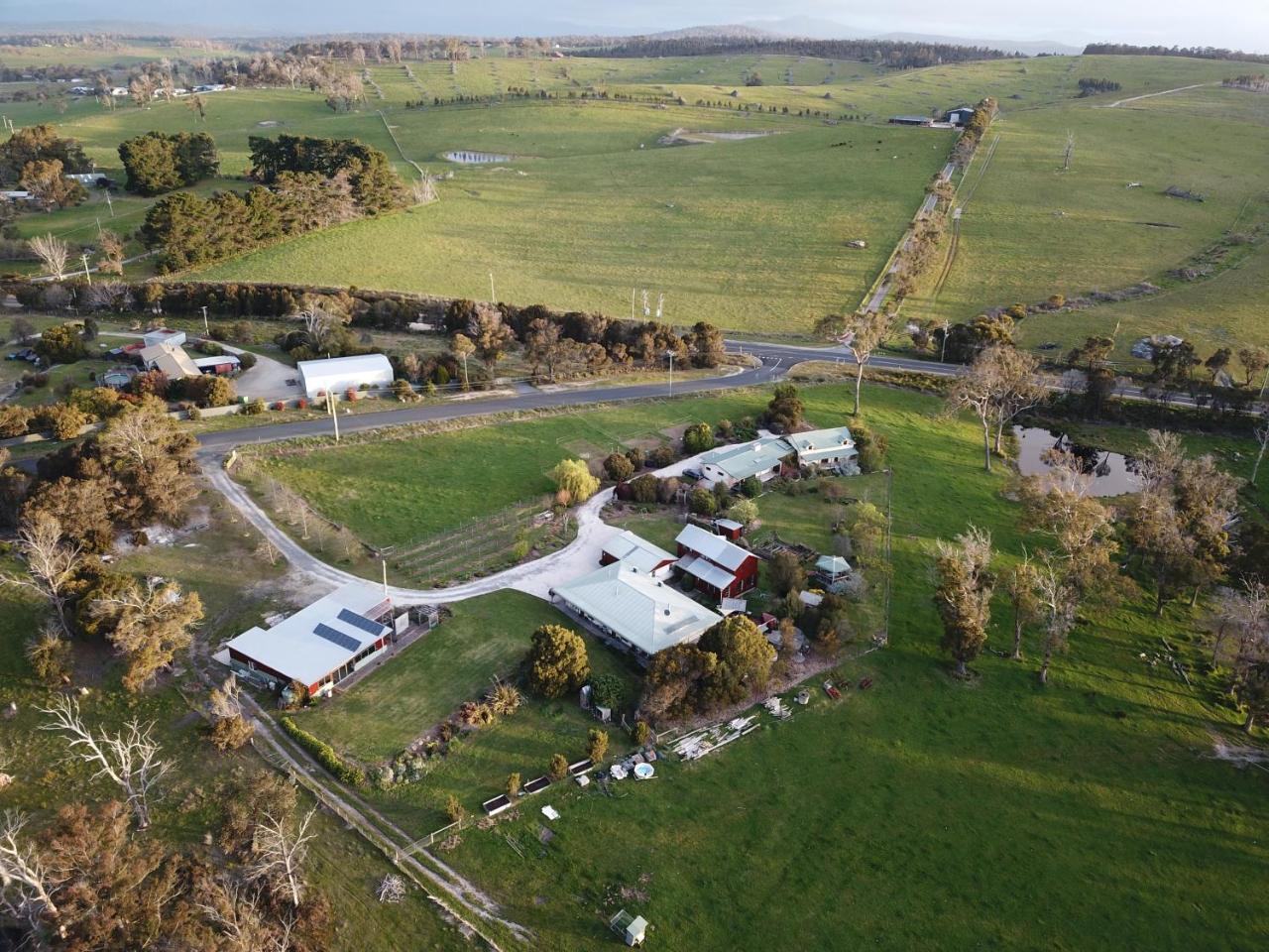 Villa Platypus Park Country Retreat Bridport Exterior foto